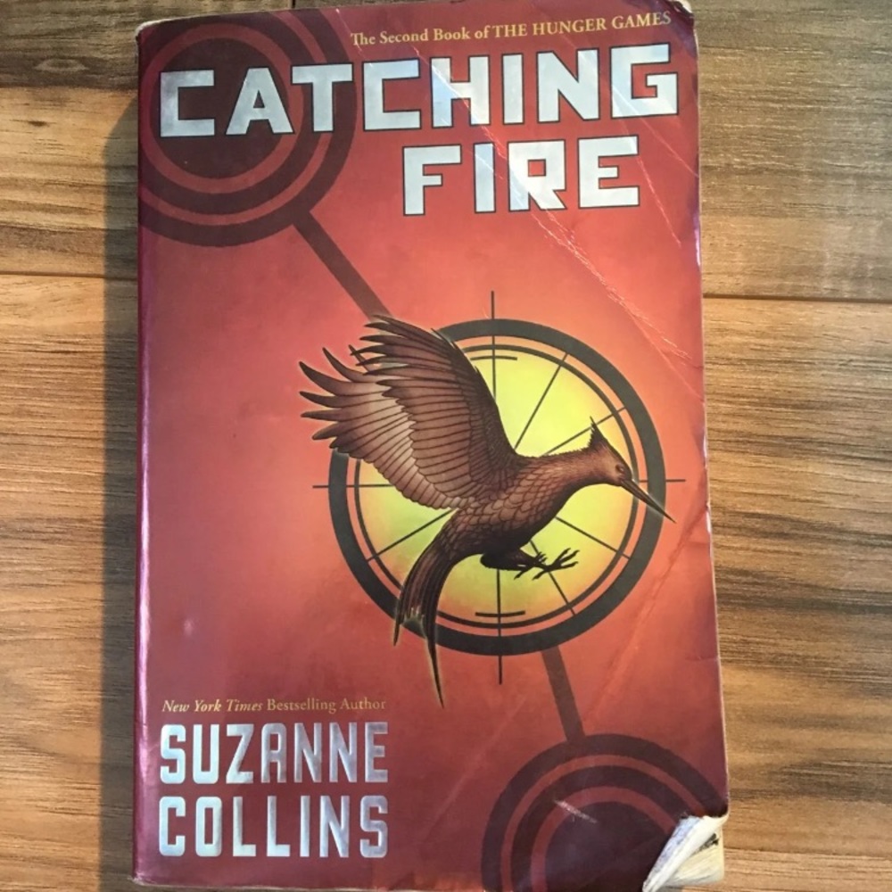 Hunger game Series - Picture 4 of 7